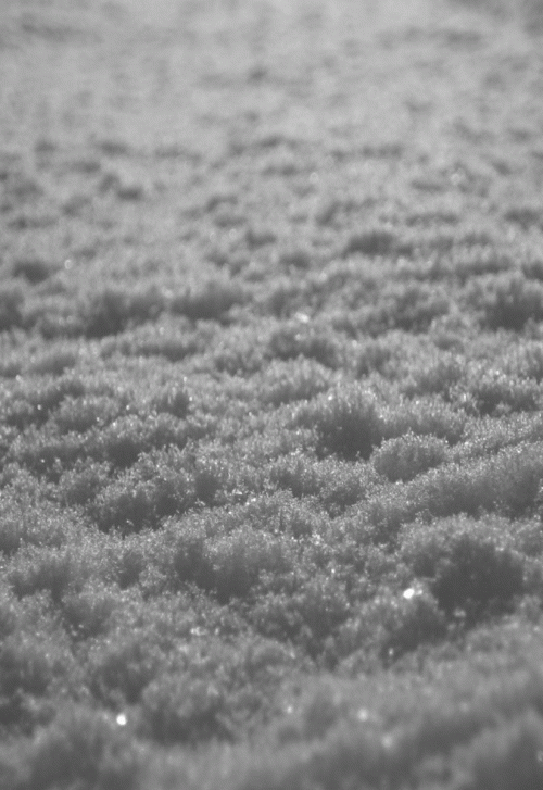 Paysage D'Hiver : Schnee